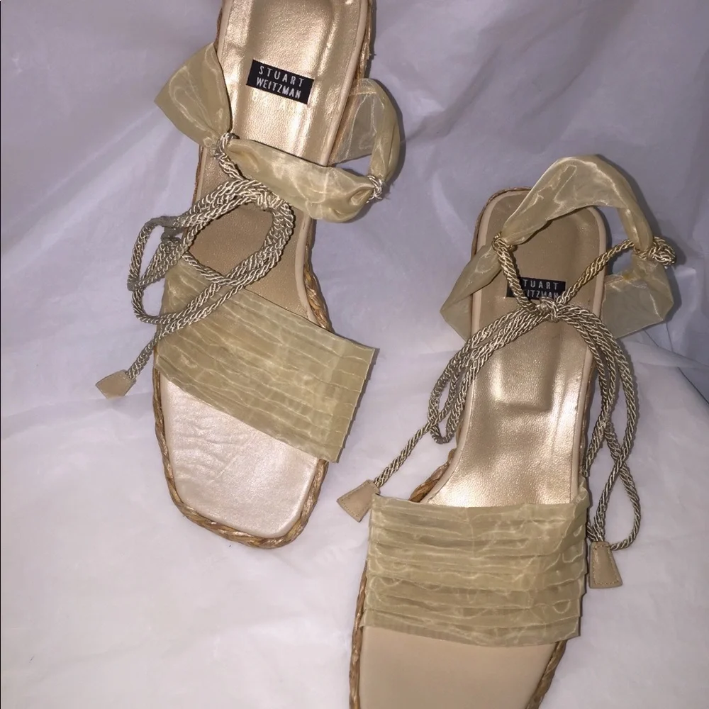Stuart Weitzman Boho Style Tulle Sheer Ankle strap Wedge Shoe